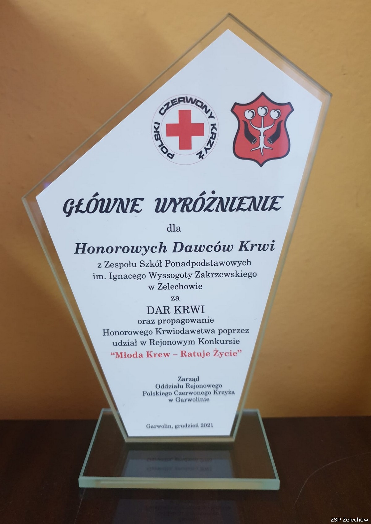 Młoda krew ratuje życie - podsumowanie 2021 roku